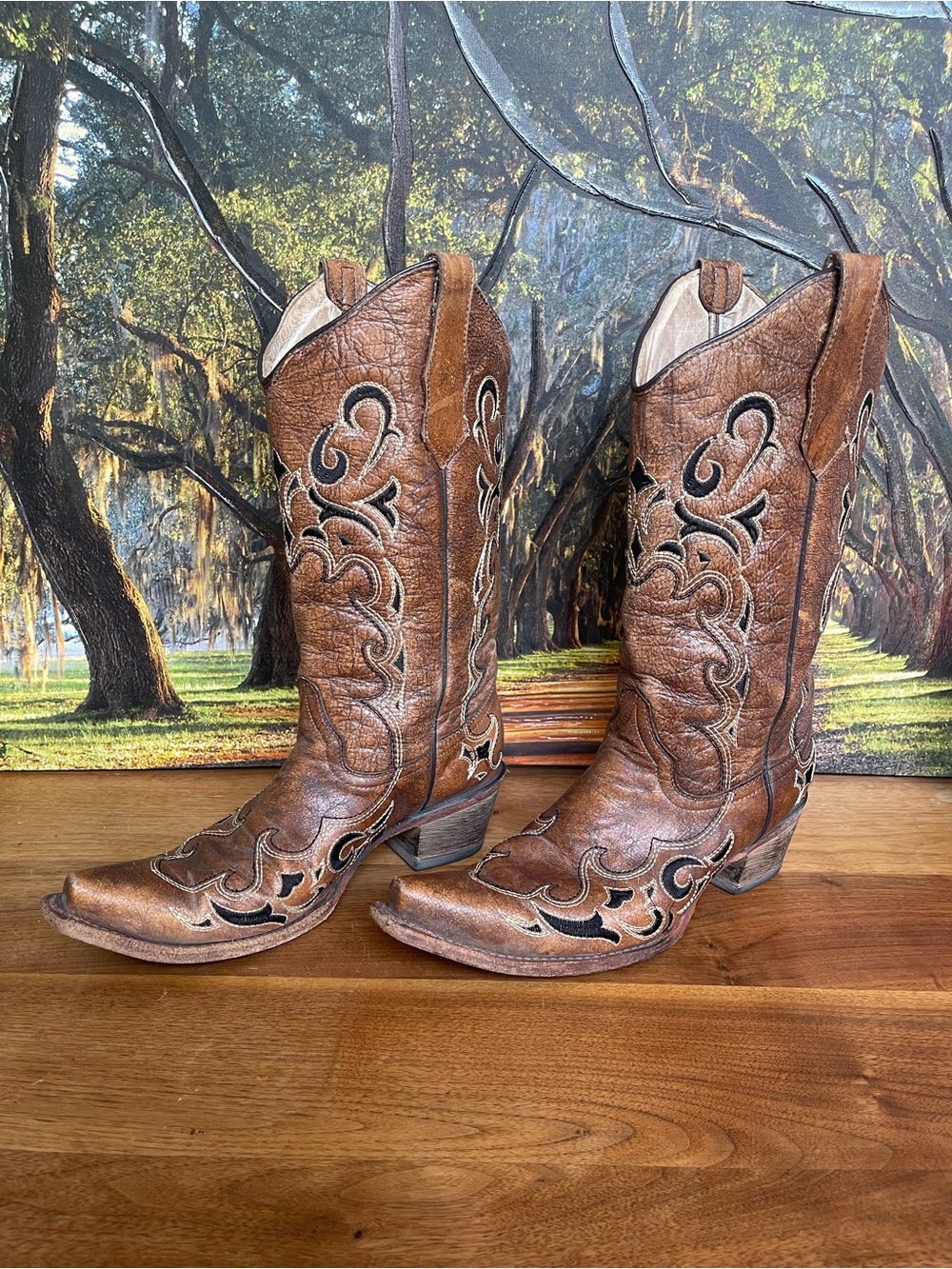 Circle G Western Brown Embroidered Leather Cowboy Boots - Women
